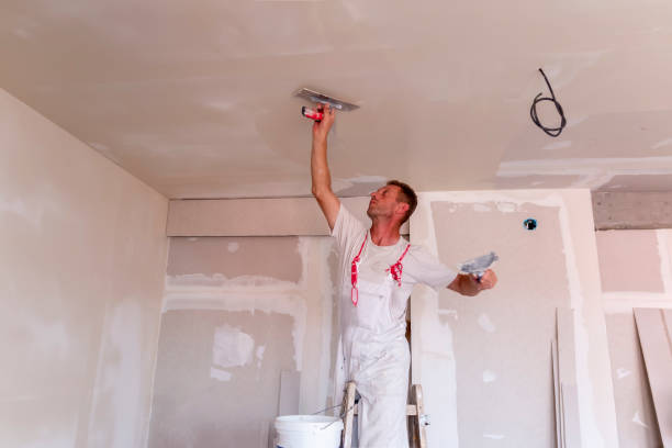 Best Drywall for Remodeling  in Germantown, IL